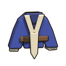 Mage Robe Top
