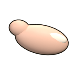 Raw chicken