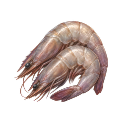 Raw shrimps