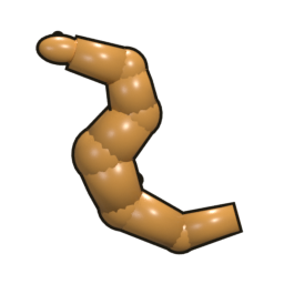 Swamp eel